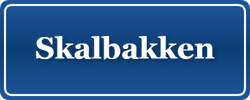 Parkering p&aring; Skalbakken, K&oslash;benhavn