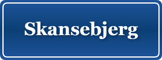 Parkering p&aring; Skansebjerg, K&oslash;benhavn