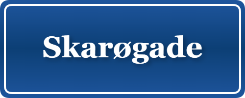 Parkering p&aring; Skarøgade, K&oslash;benhavn