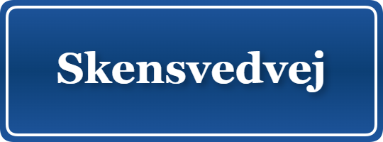 Parkering p&aring; Skensvedvej, K&oslash;benhavn