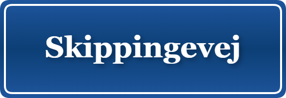 Parkering p&aring; Skippingevej, K&oslash;benhavn