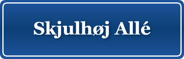 Parkering p&aring; Skjulhøj Allé, K&oslash;benhavn