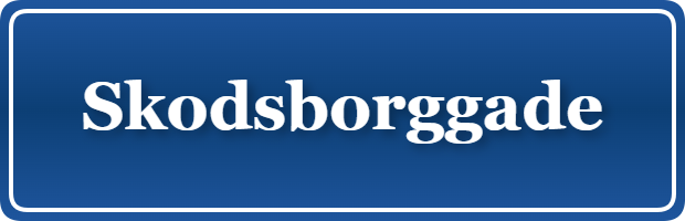 Parkering p&aring; Skodsborggade, K&oslash;benhavn