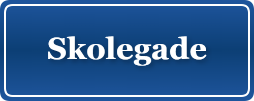 Parkering p&aring; Skolegade, K&oslash;benhavn