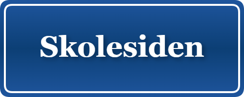 Parkering p&aring; Skolesiden, K&oslash;benhavn