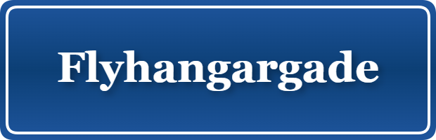 Parkering p&aring; Flyhangargade, K&oslash;benhavn