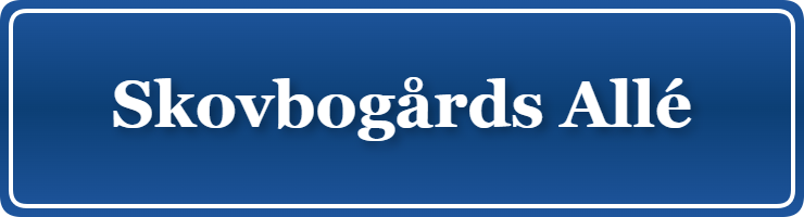 Parkering p&aring; Skovbogårds Allé, K&oslash;benhavn