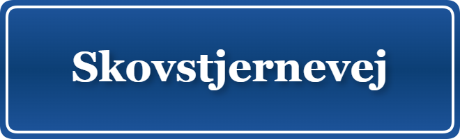 Parkering p&aring; Skovstjernevej, K&oslash;benhavn