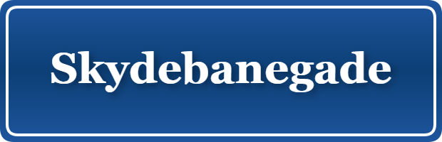 Parkering p&aring; Skydebanegade, K&oslash;benhavn