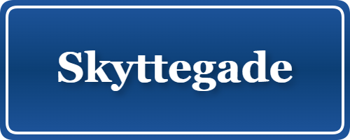 Parkering p&aring; Skyttegade, K&oslash;benhavn