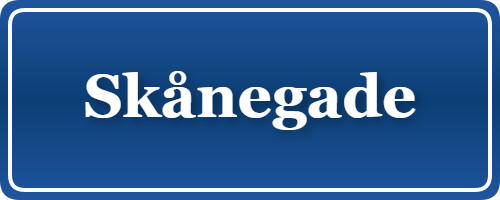 Parkering p&aring; Skånegade, K&oslash;benhavn