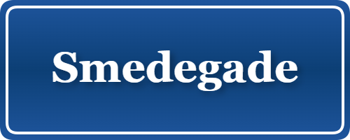 Parkering p&aring; Smedegade, K&oslash;benhavn