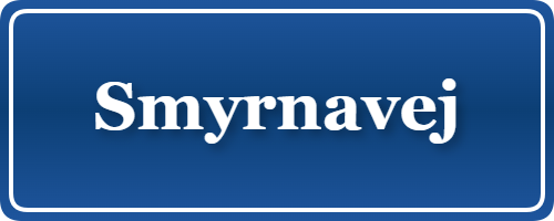 Parkering p&aring; Smyrnavej, K&oslash;benhavn