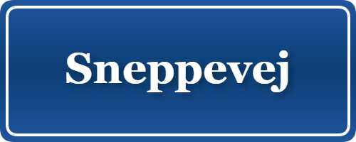 Parkering p&aring; Sneppevej, K&oslash;benhavn