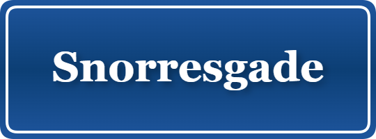 Parkering p&aring; Snorresgade, K&oslash;benhavn