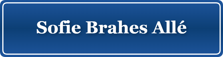 Parkering p&aring; Sofie Brahes Allé, K&oslash;benhavn