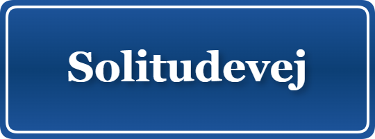 Parkering p&aring; Solitudevej, K&oslash;benhavn