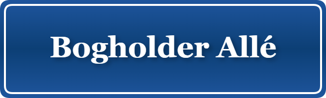 Parkering p&aring; Bogholder Allé, K&oslash;benhavn