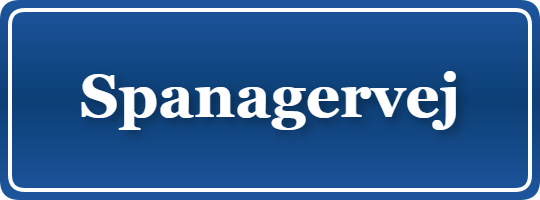 Parkering p&aring; Spanagervej, K&oslash;benhavn