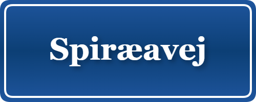 Parkering p&aring; Spiræavej, K&oslash;benhavn