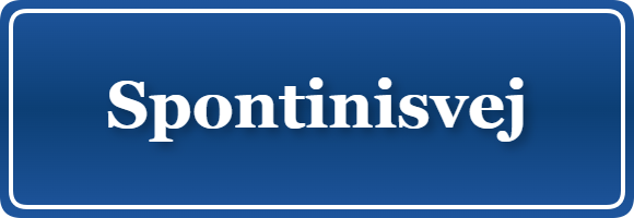 Parkering p&aring; Spontinisvej, K&oslash;benhavn