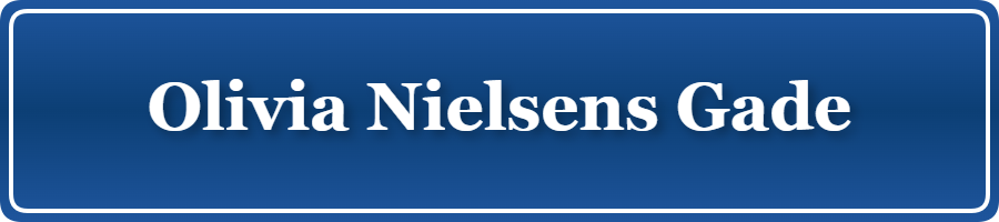 Parkering p&aring; Olivia Nielsens Gade, K&oslash;benhavn