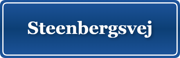 Parkering p&aring; Steenbergsvej, K&oslash;benhavn