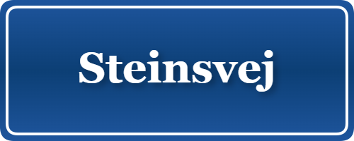 Parkering p&aring; Steinsvej, K&oslash;benhavn