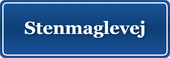 Parkering p&aring; Stenmaglevej, K&oslash;benhavn