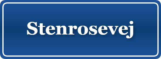 Parkering p&aring; Stenrosevej, K&oslash;benhavn