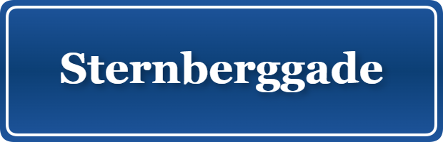 Parkering p&aring; Sternberggade, K&oslash;benhavn