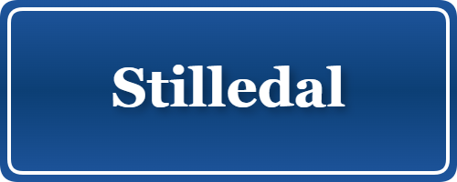 Parkering p&aring; Stilledal, K&oslash;benhavn