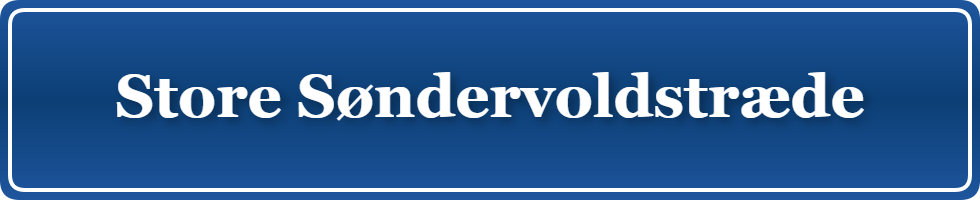 Parkering p&aring; Store Søndervoldstræde, K&oslash;benhavn