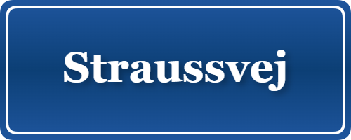 Parkering p&aring; Straussvej, K&oslash;benhavn