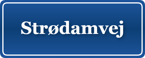 Parkering p&aring; Strødamvej, K&oslash;benhavn