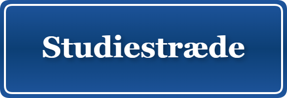 Parkering p&aring; Studiestræde, K&oslash;benhavn