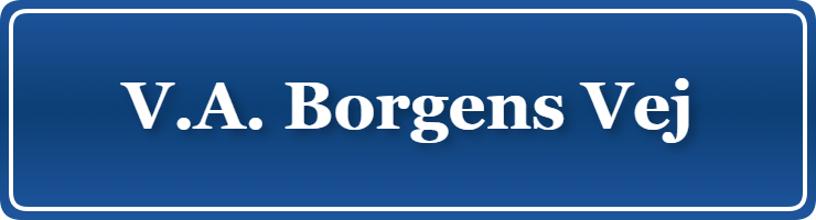 Parkering p&aring; V.A. Borgens Vej, K&oslash;benhavn