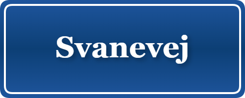 Parkering p&aring; Svanevej, K&oslash;benhavn