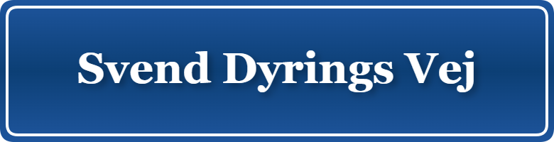 Parkering p&aring; Svend Dyrings Vej, K&oslash;benhavn