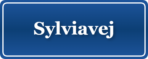 Parkering p&aring; Sylviavej, K&oslash;benhavn