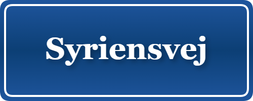 Parkering p&aring; Syriensvej, K&oslash;benhavn