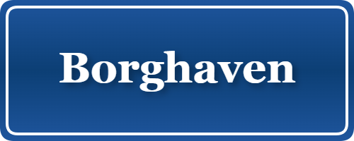 Parkering p&aring; Borghaven, K&oslash;benhavn