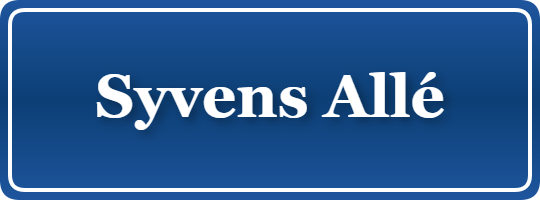 Parkering p&aring; Syvens Allé, K&oslash;benhavn