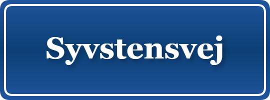 Parkering p&aring; Syvstensvej, K&oslash;benhavn