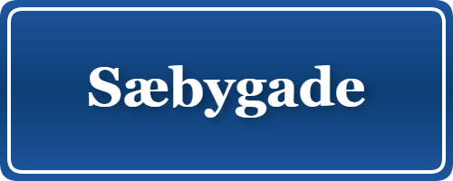 Parkering p&aring; Sæbygade, K&oslash;benhavn