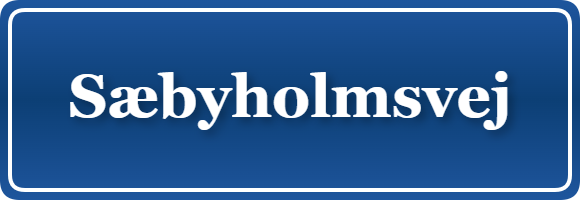 Parkering p&aring; Sæbyholmsvej, K&oslash;benhavn