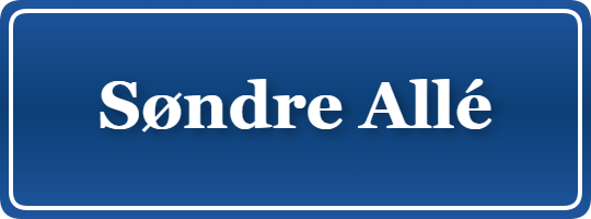 Parkering p&aring; Søndre Allé, K&oslash;benhavn