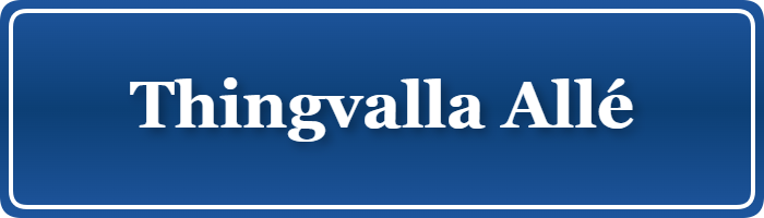 Parkering p&aring; Thingvalla Allé, K&oslash;benhavn