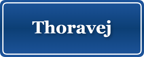 Parkering p&aring; Thoravej, K&oslash;benhavn