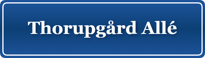 Parkering p&aring; Thorupgård Allé, K&oslash;benhavn